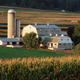 The charming billionaire made his offer after catching a glimpse of Indiana's "alluring and bountiful fields."